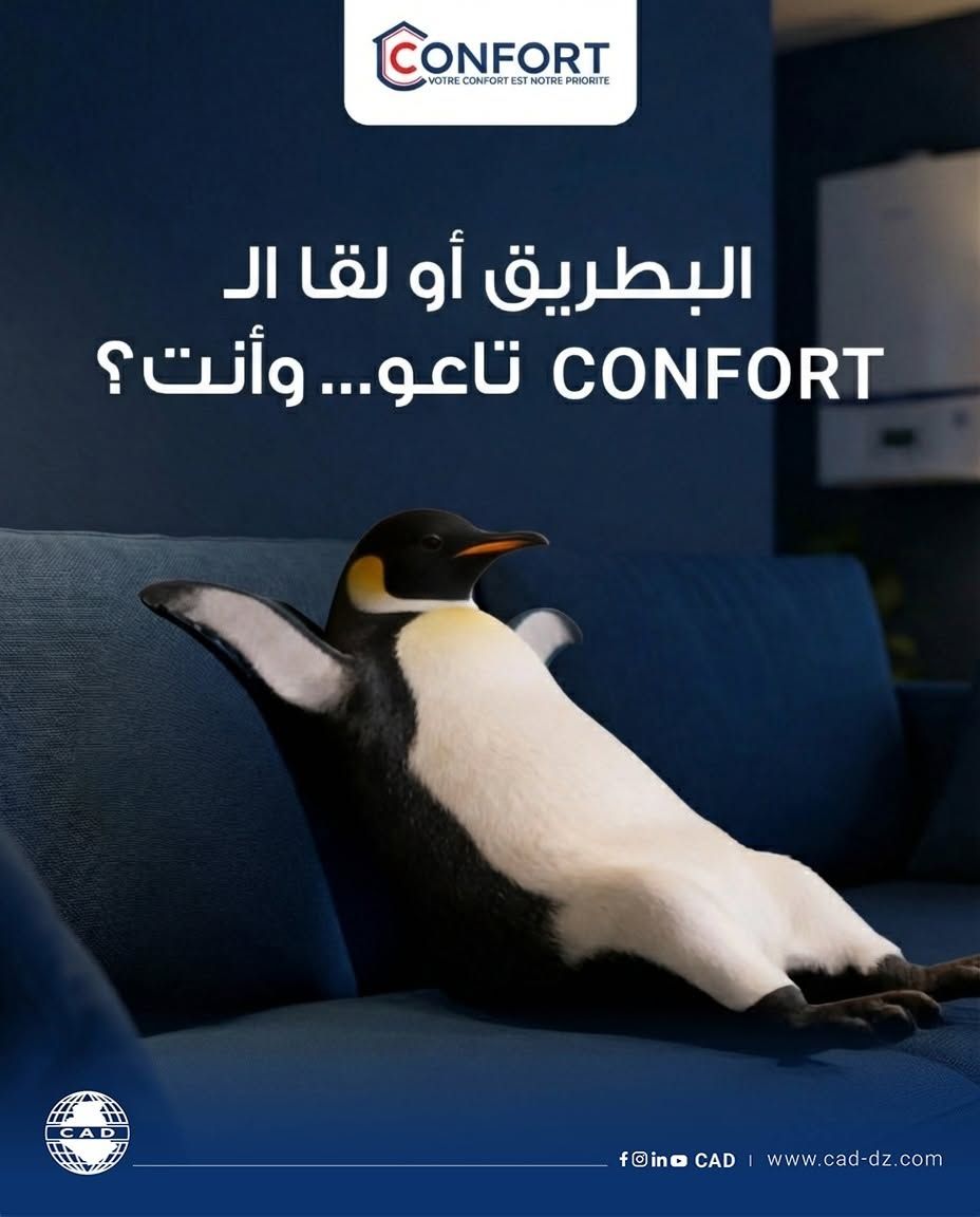 Confort post with a penguin relaxing on a sofa